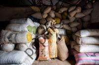 گوترش می گوید آفریقا «منبع امید» برای جهان است