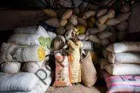 گوترش می گوید آفریقا «منبع امید» برای جهان است