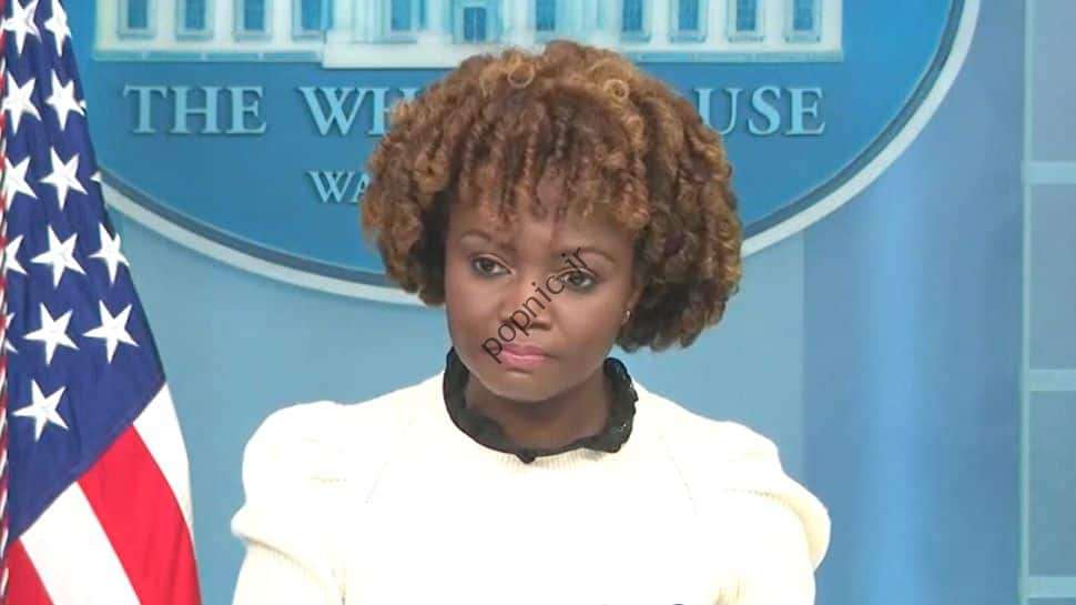 سخنگوی کاخ سفید: «تیک‌تاک می‌تواند امنیت و امنیت ملی آمریکا را تهدید کند» |  اخبار جهان