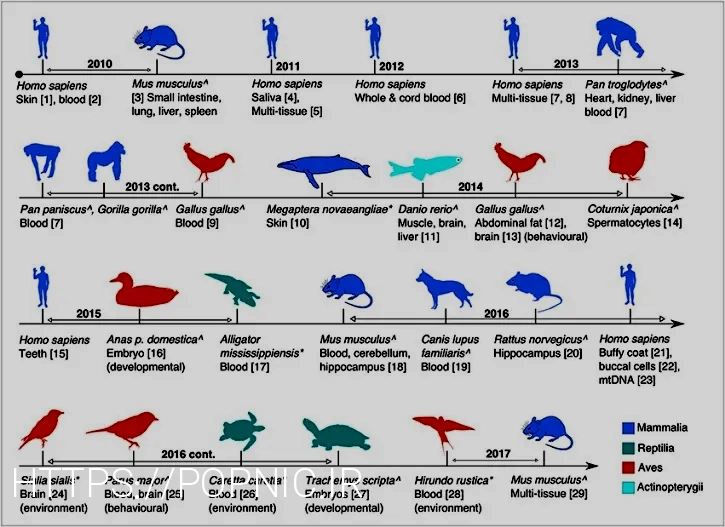 What do animals eat